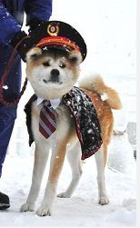 ＜秋田＞犬っこまつりで雪像ずらり　「犬っこ駅長」初登場