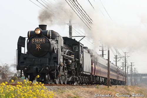 【鉄道写真】春を呼ぶSL~走り始めた蒸気機関車C58 363「パレオエクスプレス」~