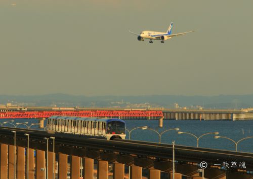 航空機と東京モノレール
