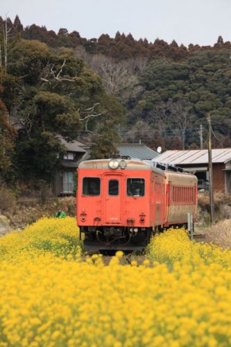 いすみ鉄道　なう。