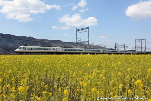 【鉄道写真】近鉄大阪線~近鉄特急を撮る（8）~