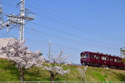 阪急今津線3000系最後の春…？