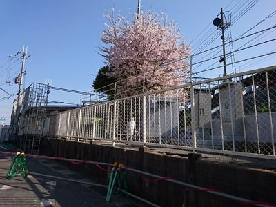 和泉鳥取駅バリアフリー化工事の様子（2017.4.13）