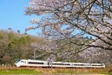 名残の桜と鉄道風景