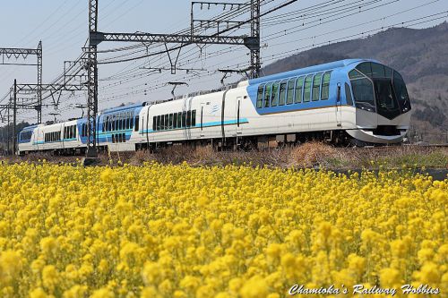 【鉄道写真】「しまかぜ」と菜の花~近鉄特急を撮る（13）~