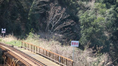 長良川鉄道　観光列車ながら　運行開始１周年 