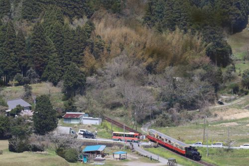 踏切を黒い機関車が通る　- 2017年春・小湊鉄道 -