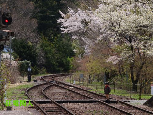 花の駅に汽車来たる