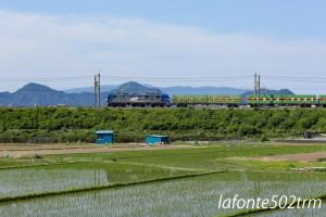 2017/06/17 朝の貨物列車