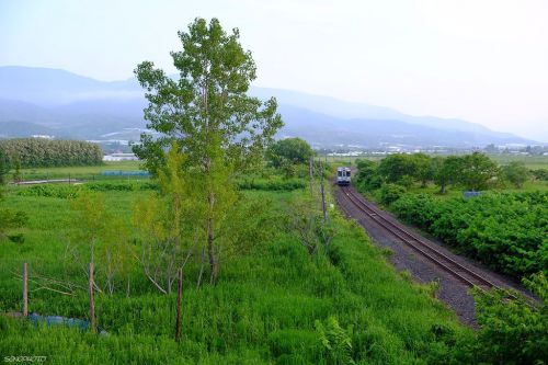 好きな鉄道風景　函館本線　余市～仁木