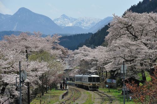 桜の湯野上温泉駅