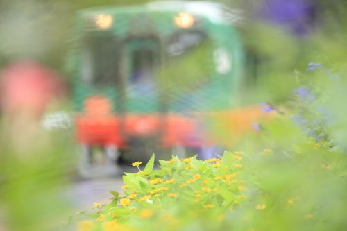 花と緑に包まれる駅