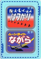 JR東海 ムーンライトながら(373系)