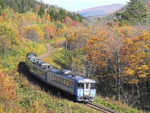 紅葉の石北遠征《特急列車編》