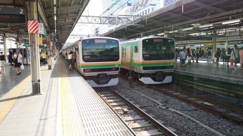 湘南新宿ラインの足跡～前身の時代：中距離電車の池袋乗り入れ