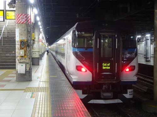 上野駅地平ホーム　発着するレアな列車たち part4 E257系2000番台