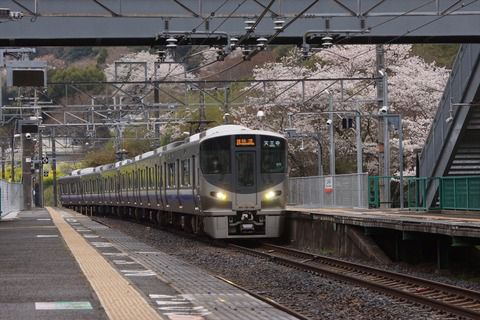 阪和線・山中渓駅での桜の撮影記録（2022.4.3）