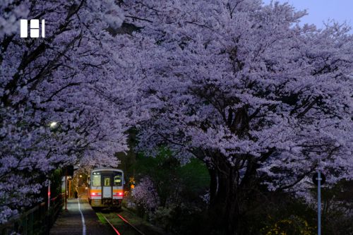 暮れ行く駅