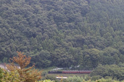 小さな秋　- 2022年初秋・秩父鉄道 -