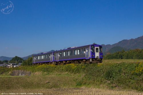 JR西日本 キハ120 関西線（亀山－加茂）