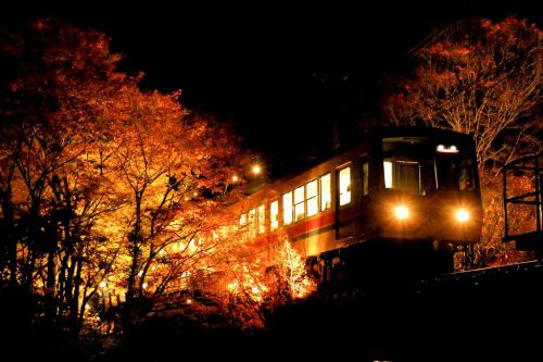 今年最後のライトアップ！叡山電鉄