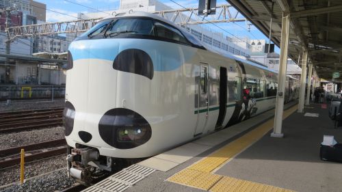 【列車】JR西日本 パンダくろしおに乗ってきた