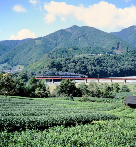 復活SL 大井川鉄道の C5644 と C11312　1993.10.9～10