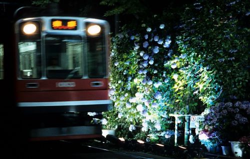 夜の箱根登山鉄道