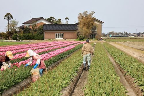 ちょっと見えにくいけど特急北越