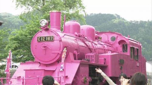 ＳＬですがピンク色です　鳥取　若桜鉄道　５月１日は「恋の日」、ＳＬをピンク色に塗り替え