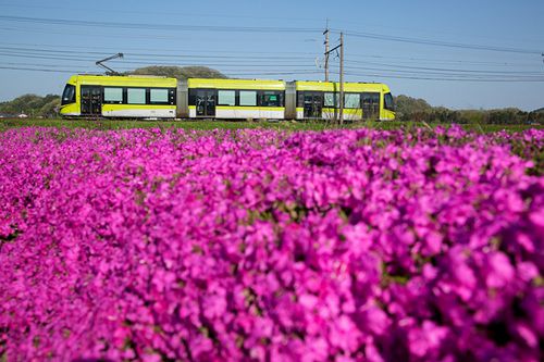 ONE-shot 288　花咲く電車みち