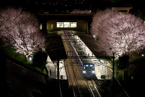 ONE-shot 285 春宵の駅