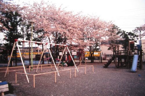 鶴見線と京浜急行　黄赤色電車と赤黄色花の世界　1994-04-11