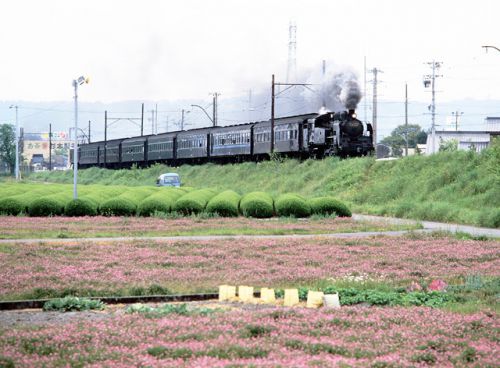 復活SL GW ３本運転の 大井川鉄道 1996.5.4