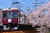 桜の鉄道風景撮影記