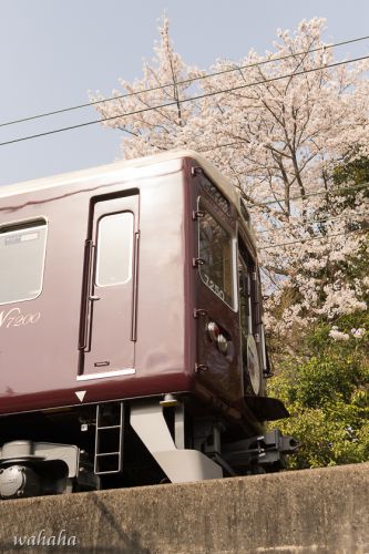 初めての能勢電鉄②