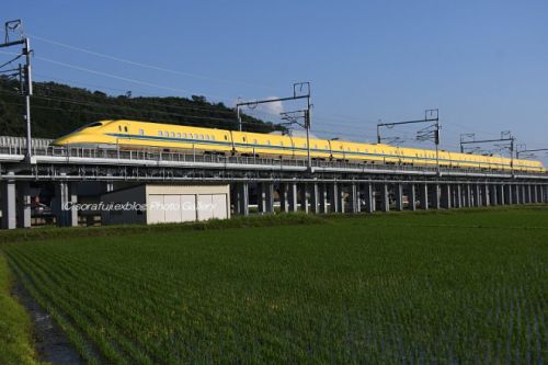 東海道新幹線 初夏の米原･関ヶ原界隈8