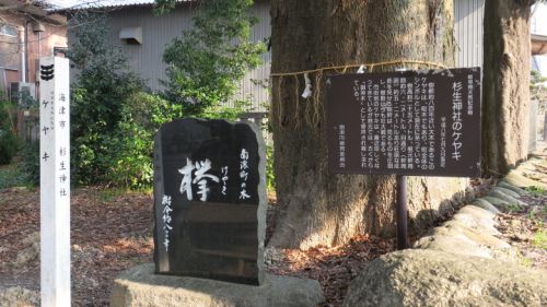 踏切の風景　養老鉄道・養老線「踏切道石津第二号」～参道を横切る復刻ラビットカー～