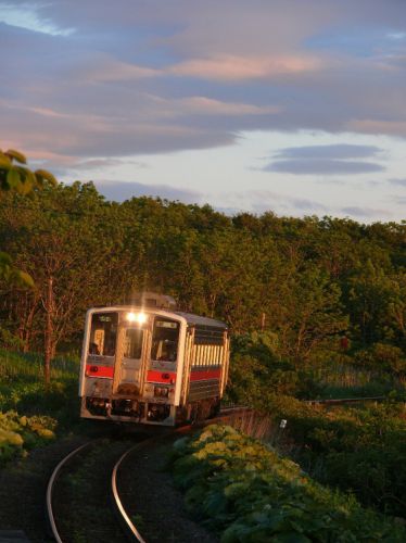 夕日を浴びた花咲線列車