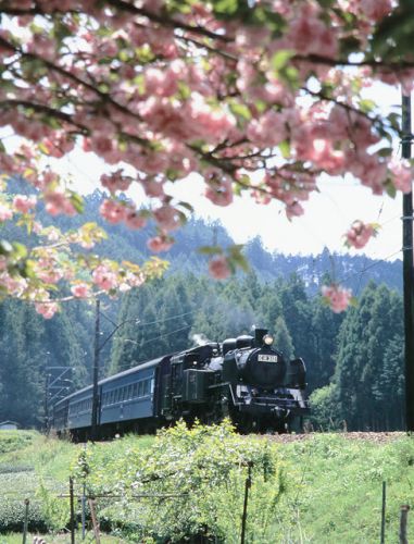 復活SL トラストトレイン運転日の大井川鉄道 1997.4.26
