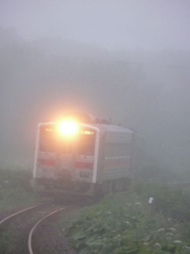 濃霧の中から花咲線列車が現れました！