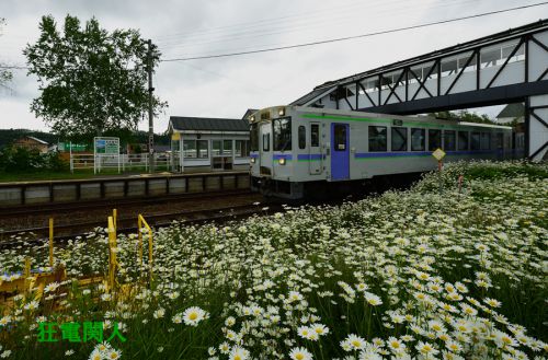 非電化を流離う2 水無月の章六 マーガレット咲き乱れる丘の駅