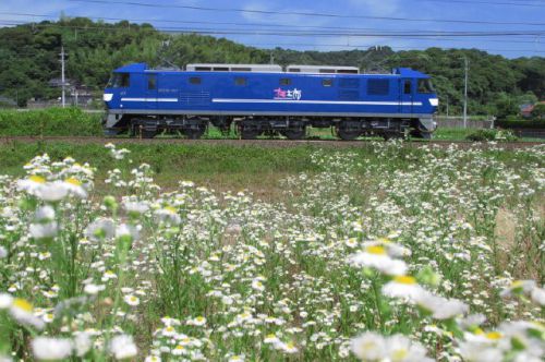 乗り鉄活動　水郡線を経由して仙台へ　1989-08-13