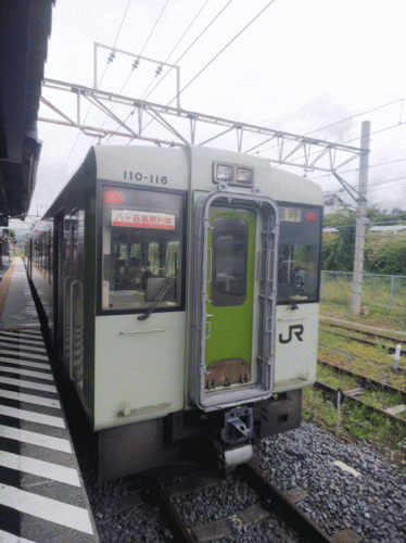 小海線(八ヶ岳高原線)のキハ110系による八ヶ岳高原列車5号