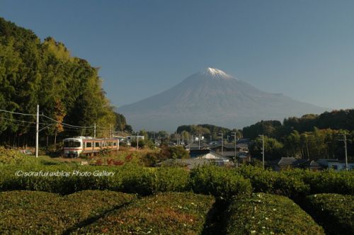 富士山と鉄道風景5