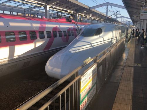 【新幹線ふれあいデー2018】博多から車両基地まで新幹線で行くの知ってた？