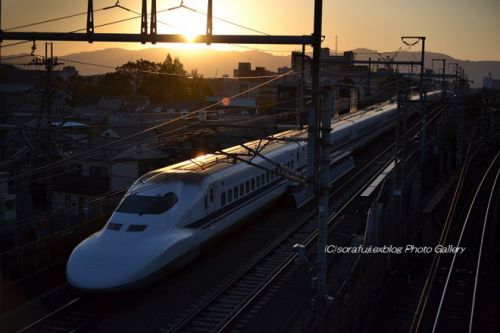東海道新幹線 夕方の京都にて3