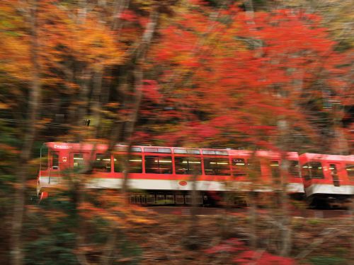 去り行く秋を追いかけて　～叡山電鉄900系“きらら”～