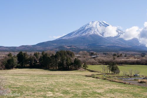 富士山＋電車 撮りに行ってきました！ ③