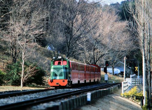１月は修善寺虹の郷の ロムニー鉄道 へ 2003.1.13
